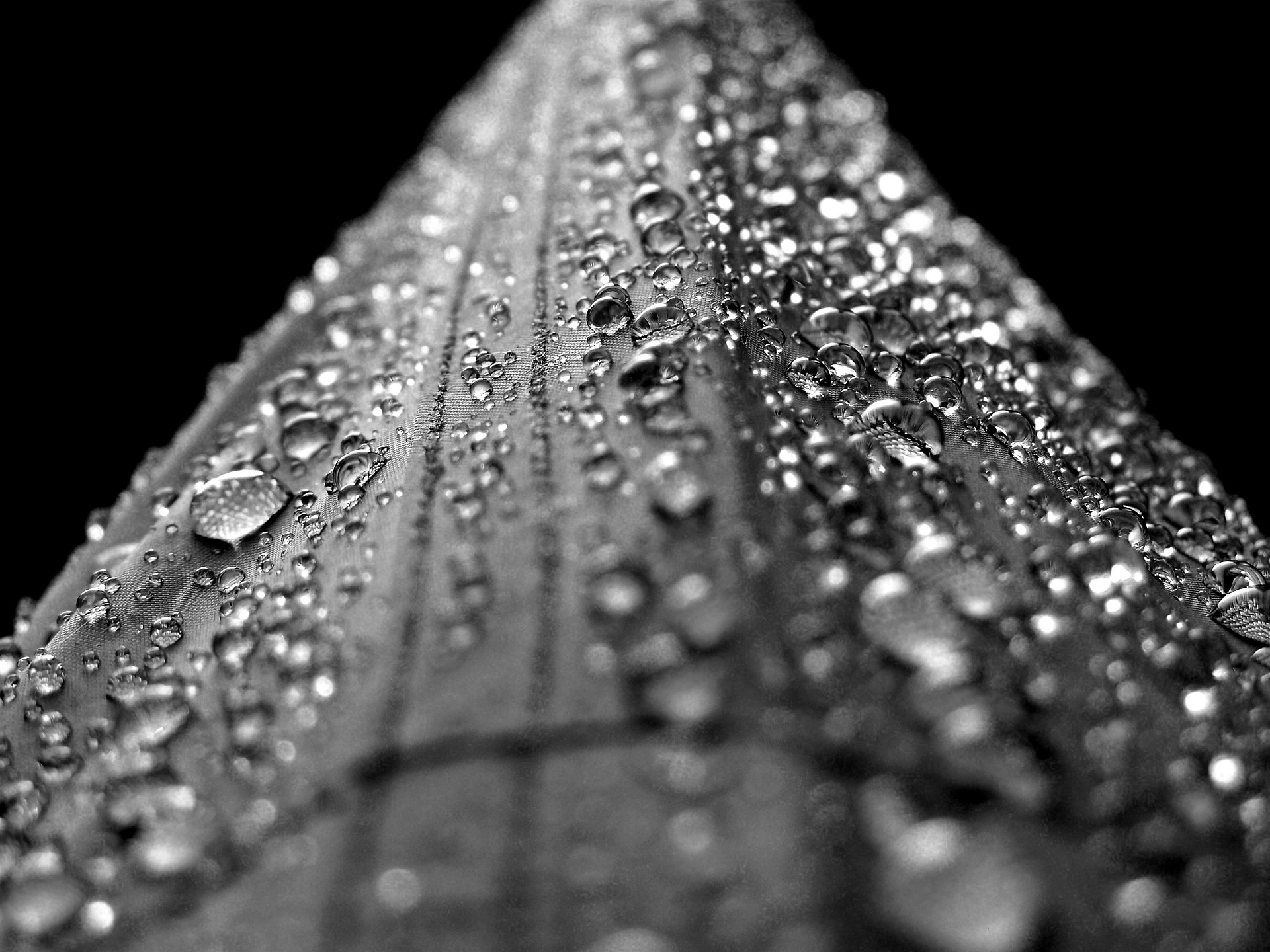 Water droplets photo